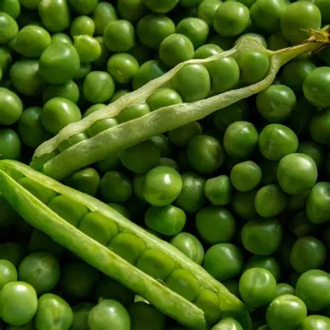 Premium Green Peas