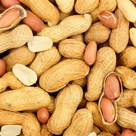 Premium Peanuts