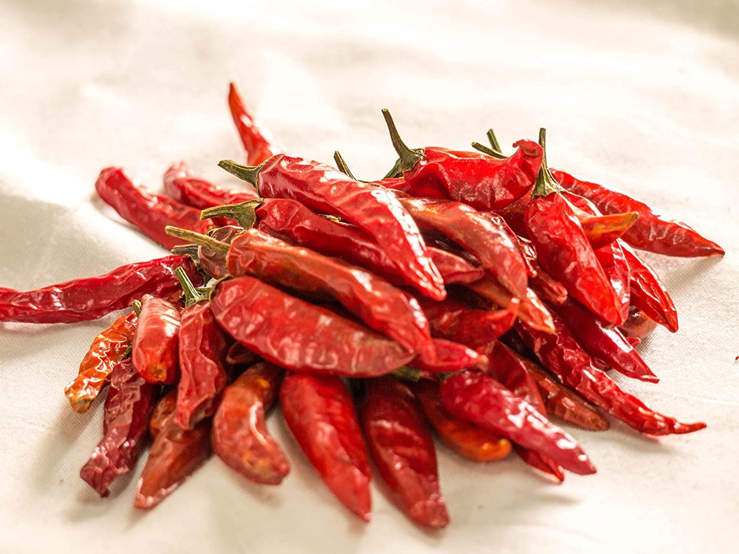 Premium Red Chilli
